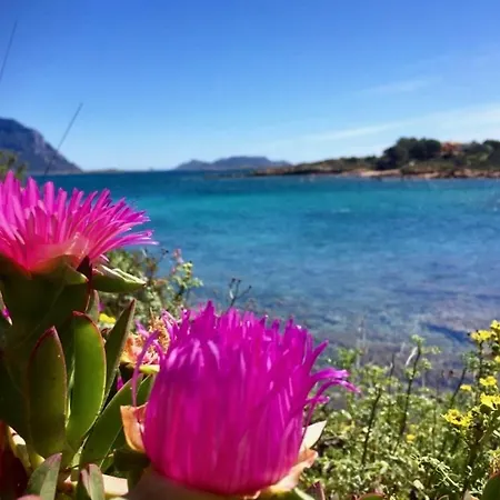 Isuledda N 34 Ristrutturata A 150m Dal Mare Con 2 Stanze Per 6 Persone Posizione Tranquilla