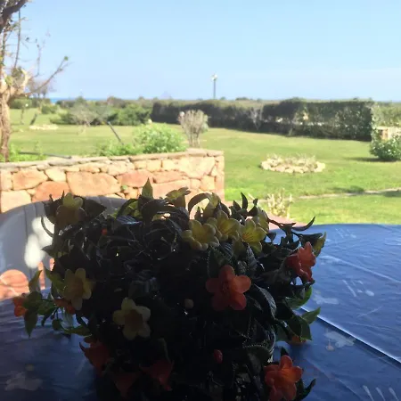 Villa Isuledda N 34 Ristrutturata A 150m Dal Mare Con 2 Stanze Per 6 Persone Posizione Tranquilla